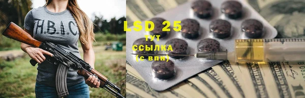 хмурый Дмитров