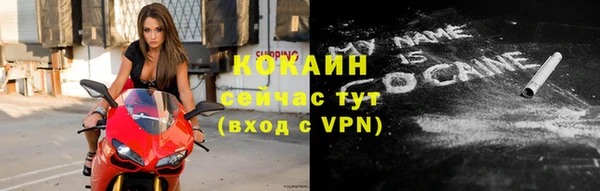 прущие грибы Дмитровск