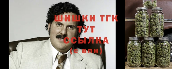 ешки Дмитриев