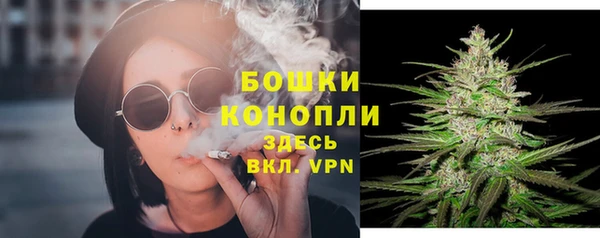 хмурый Дмитров