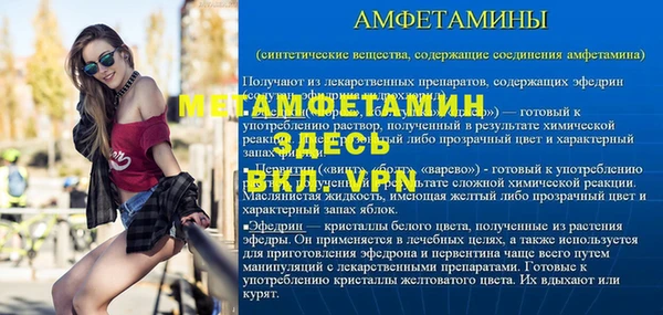прущие грибы Дмитровск