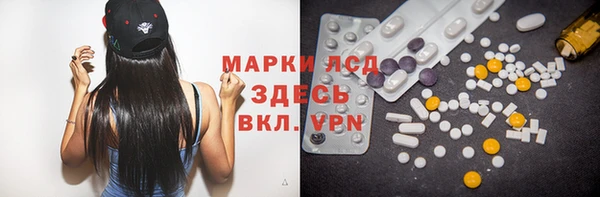 прущие грибы Дмитровск