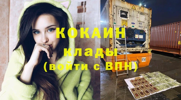 прущие грибы Дмитровск
