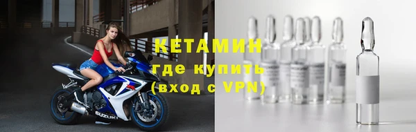прущие грибы Дмитровск