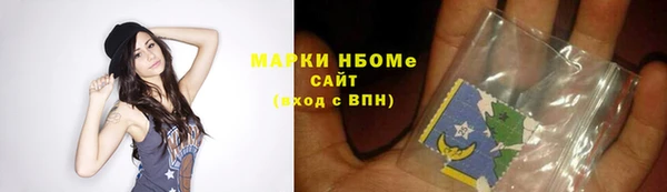 прущие грибы Дмитровск