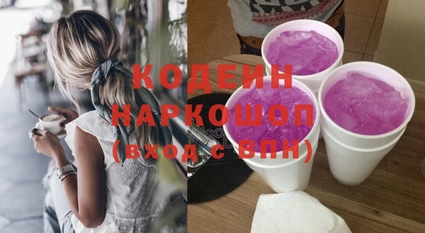 хмурый Дмитров