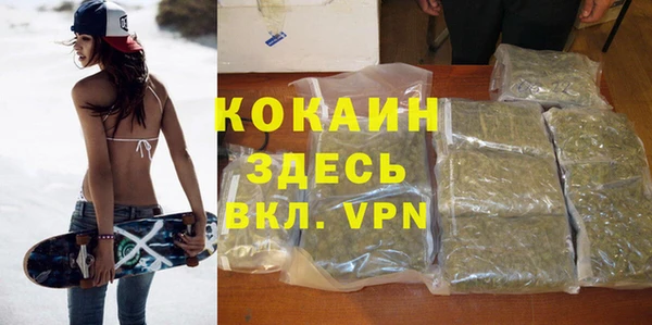 ешки Дмитриев