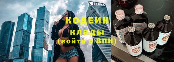 ешки Дмитриев