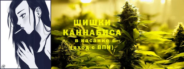 ешки Дмитриев