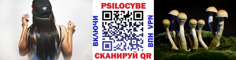 Псилоцибиновые грибы Psilocybine cubensis  где найти наркотики  Зеленогорск 